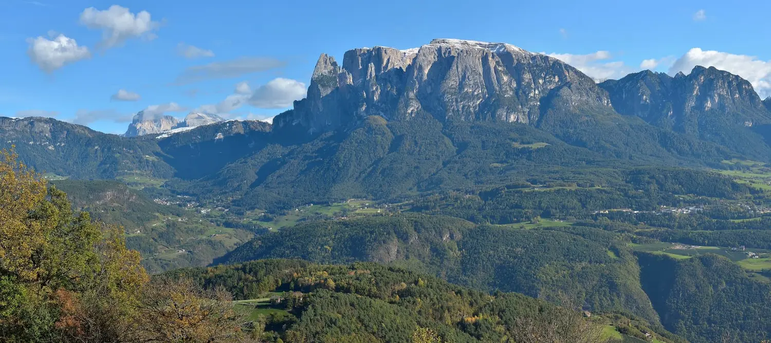 Der Schlern mit den Santner-Spitzen über dem bewaldeten Hochplateau, Herbstlaub im Vordergrund
