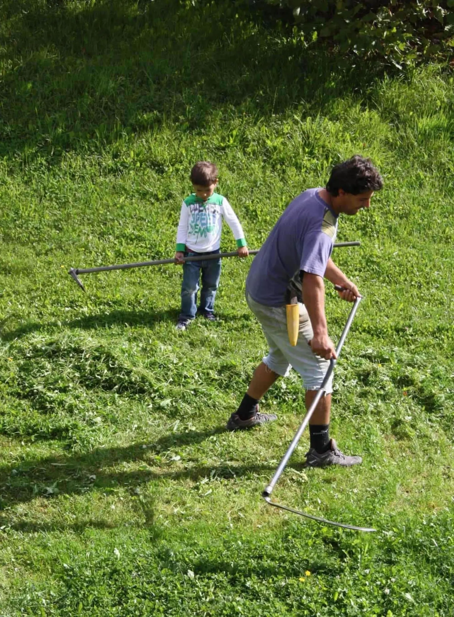 Vater und Kind bei der Heuarbeit auf der Wiese
