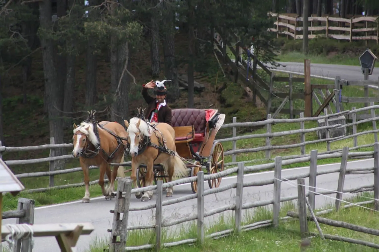 Zwei Haflinger ziehen eine Kutsche über eine Straße am Ritten