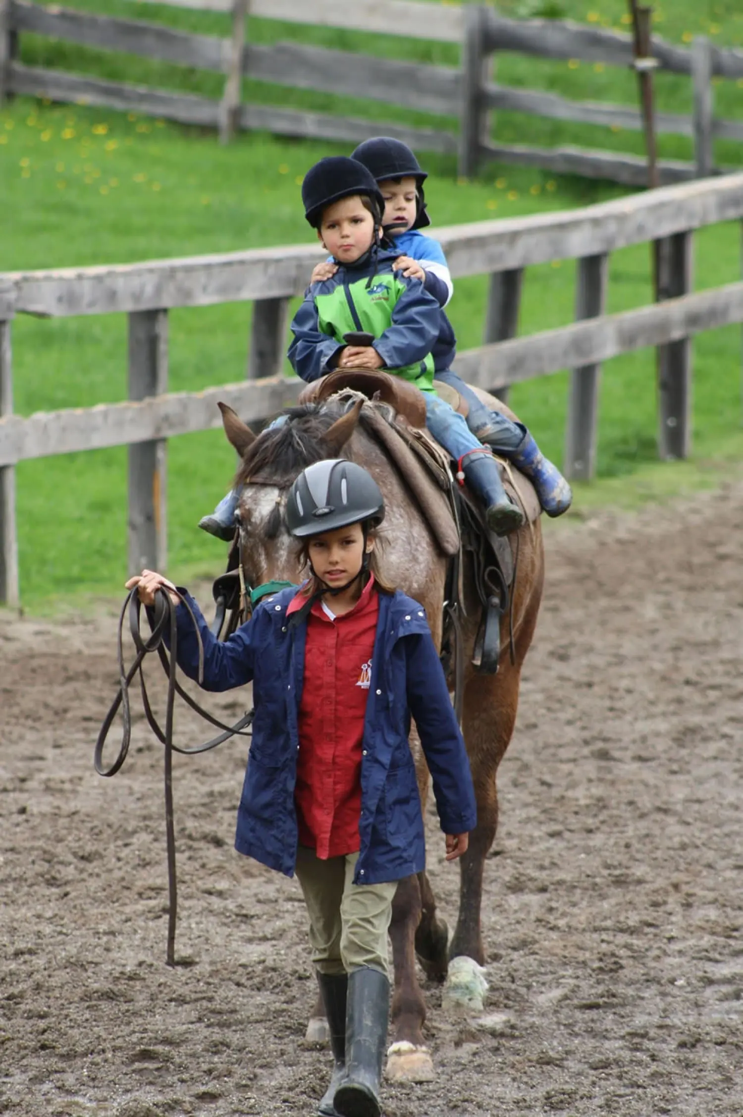 Ein Kind mit Reithelm führt ein Pferd über den Reitplatz, oben sitzen zwei Kinder