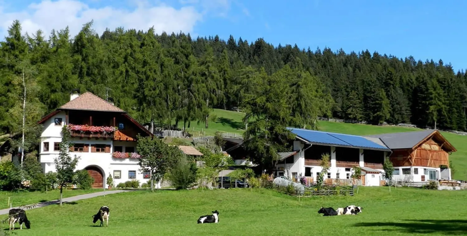 Lärchhof, Foto 8 von 24