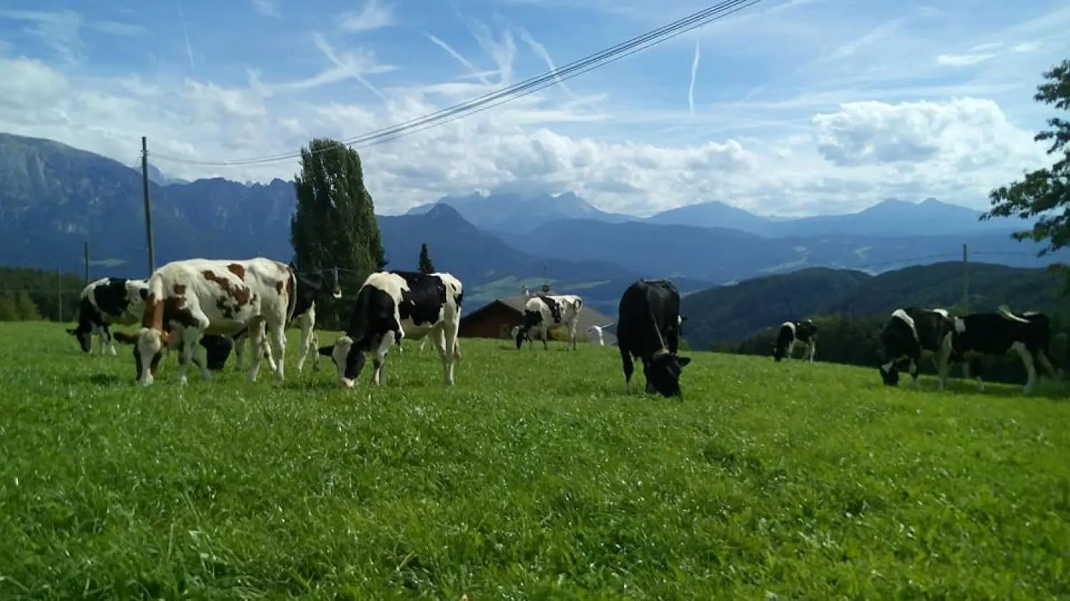 Schartnerhof, Foto 18 von 19