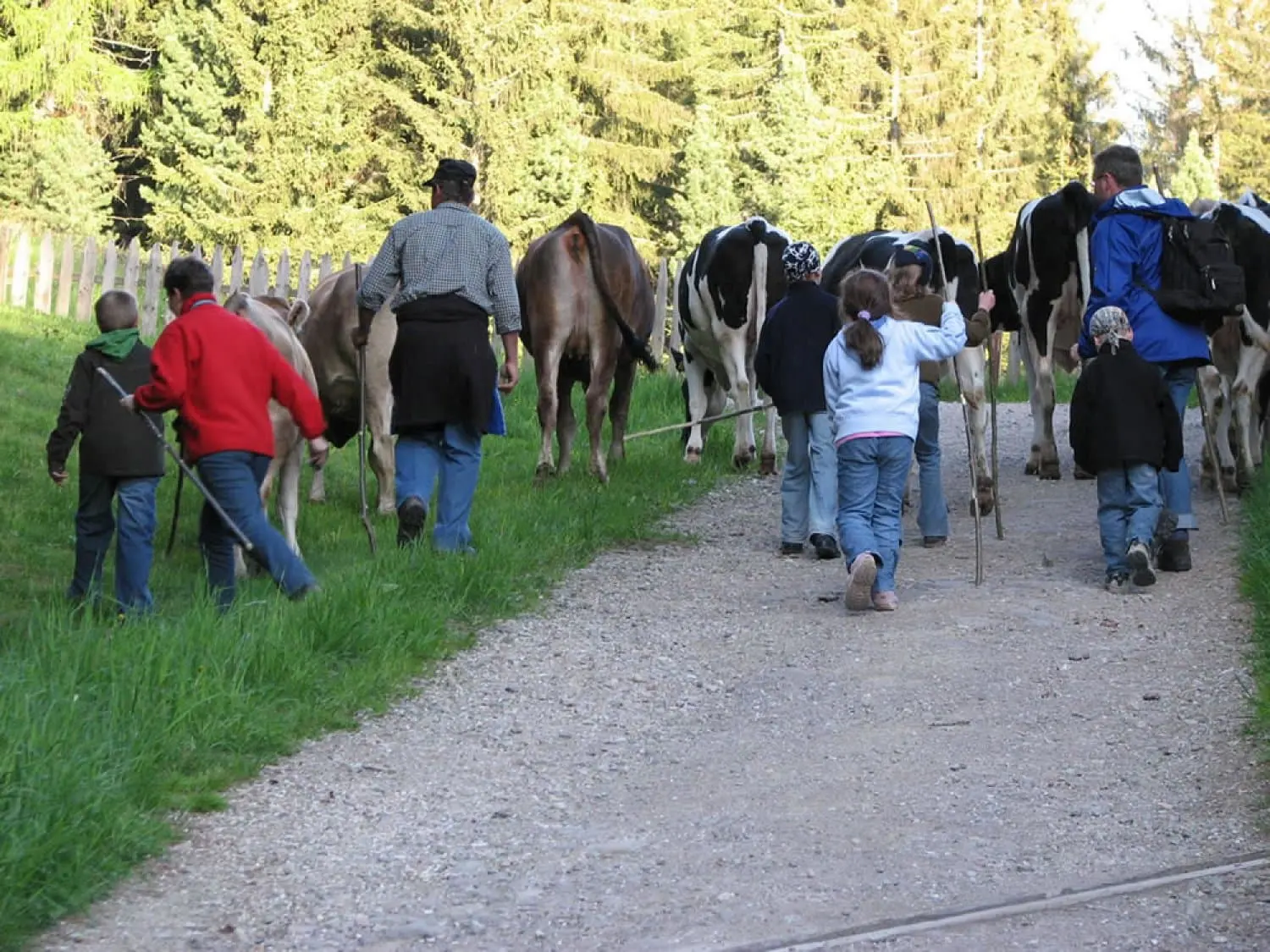 Unterpfaffstall Hof, Foto 8 von 24