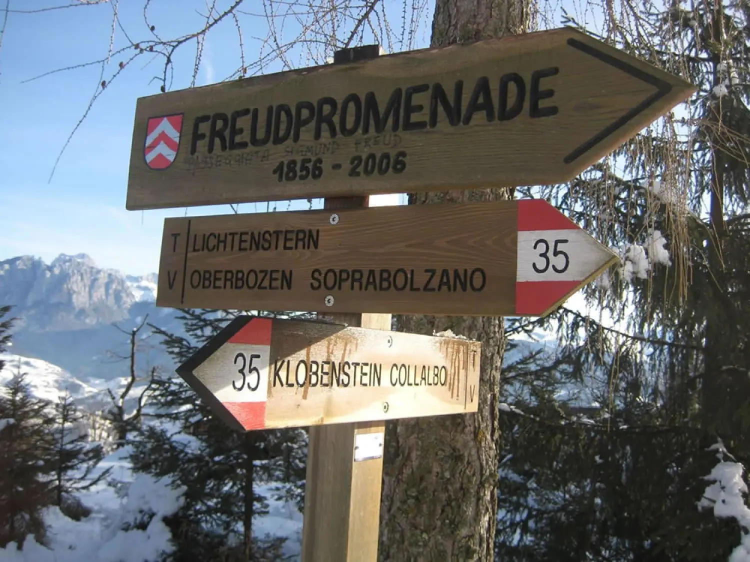 Holzwegweiser der Freud-Promenade: Weg 35 nach Lichtenstern, Oberbozen und Klobenstein, dahinter verschneite Berge