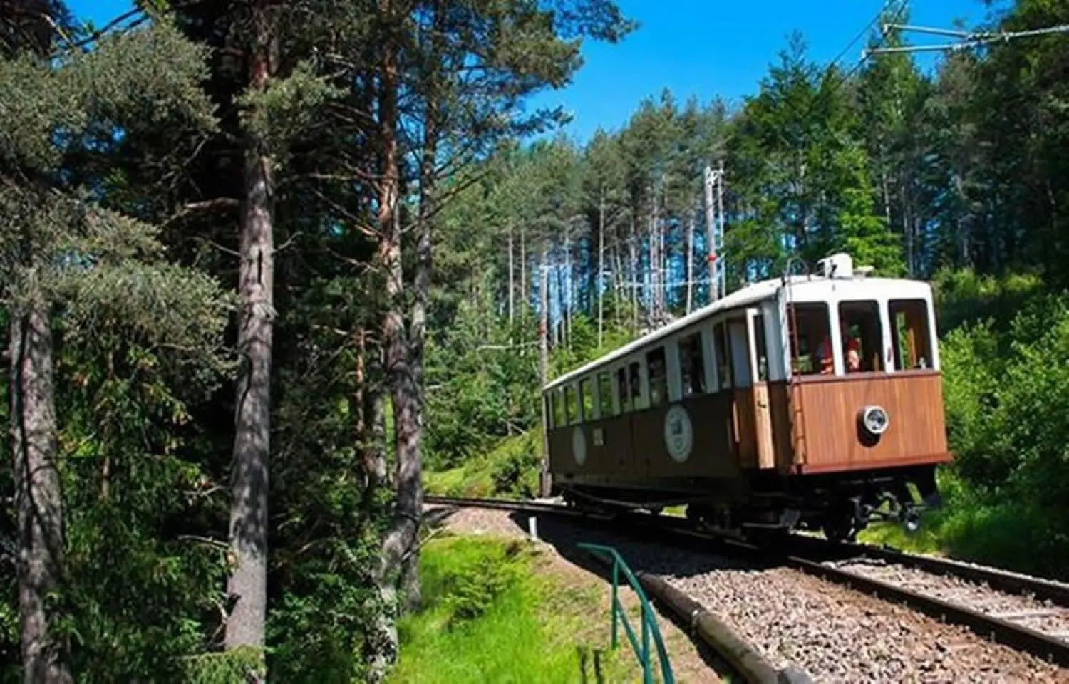 Die historische Rittner Trambahn fährt durch den Lärchenwald