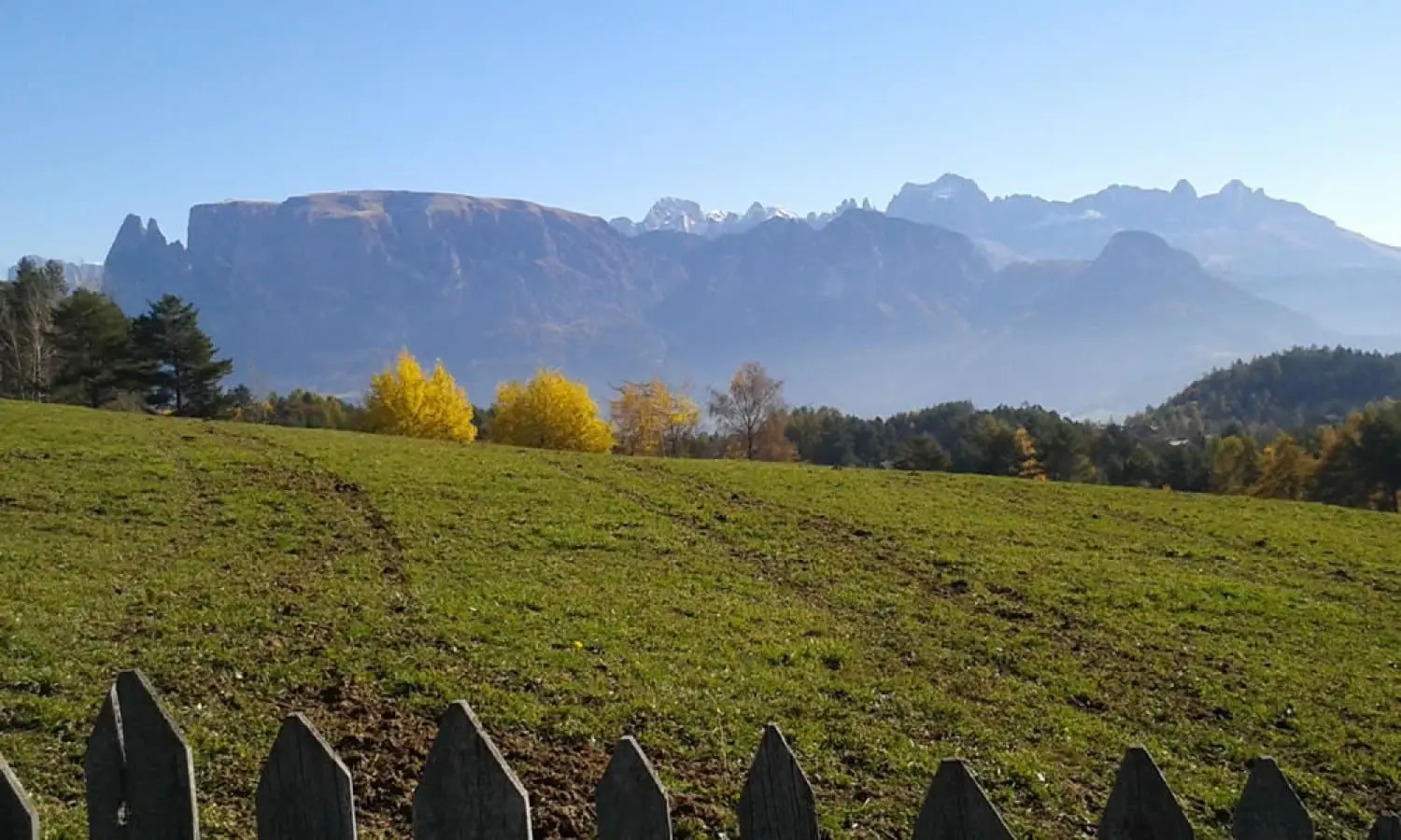 Herbstliche Wiese am Holzzaun mit Blick auf Schlern und Rosengarten